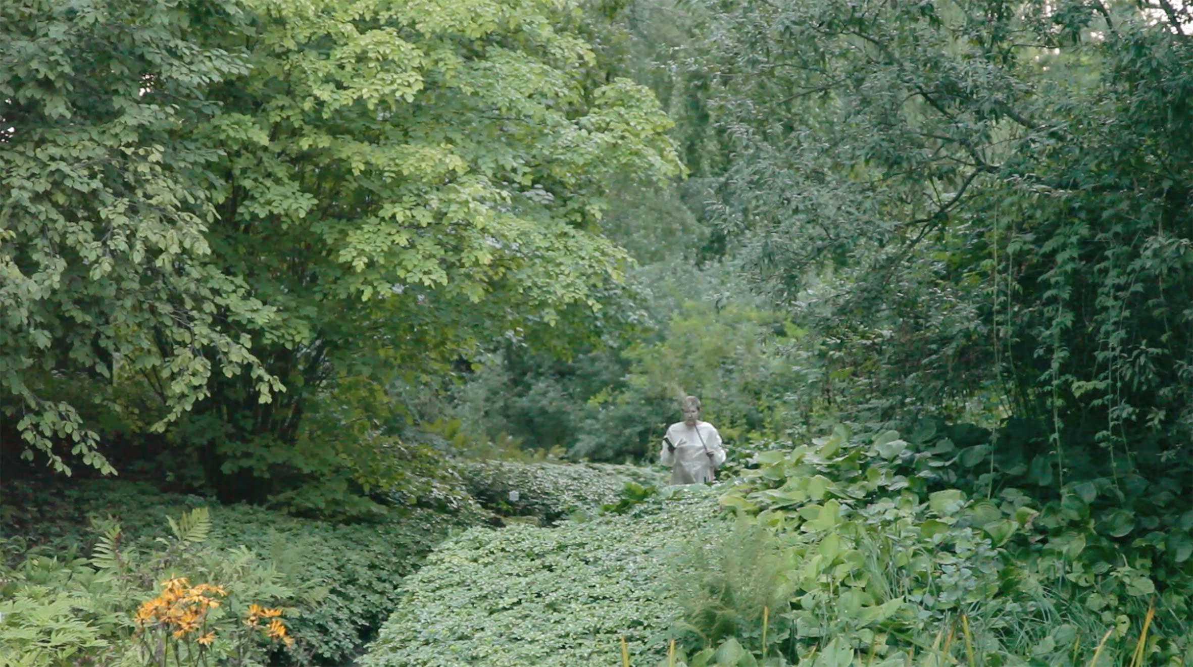 Maja Sądel – W postaci zwierzęcej