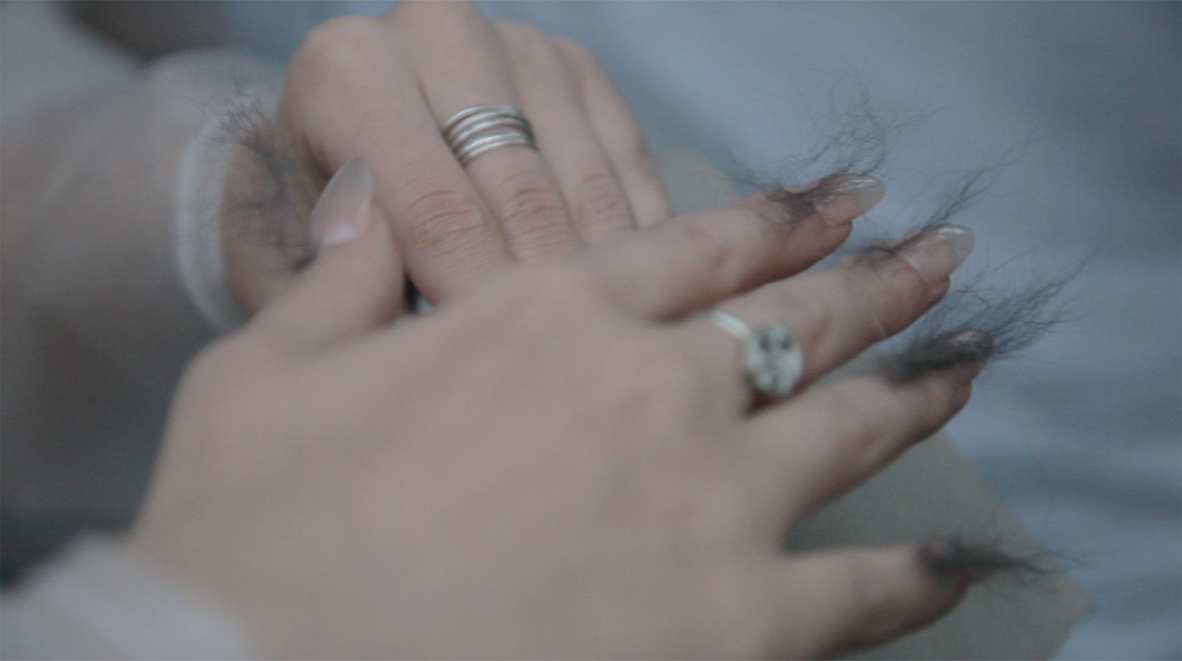 Performance „W postaci zwierzęcej"