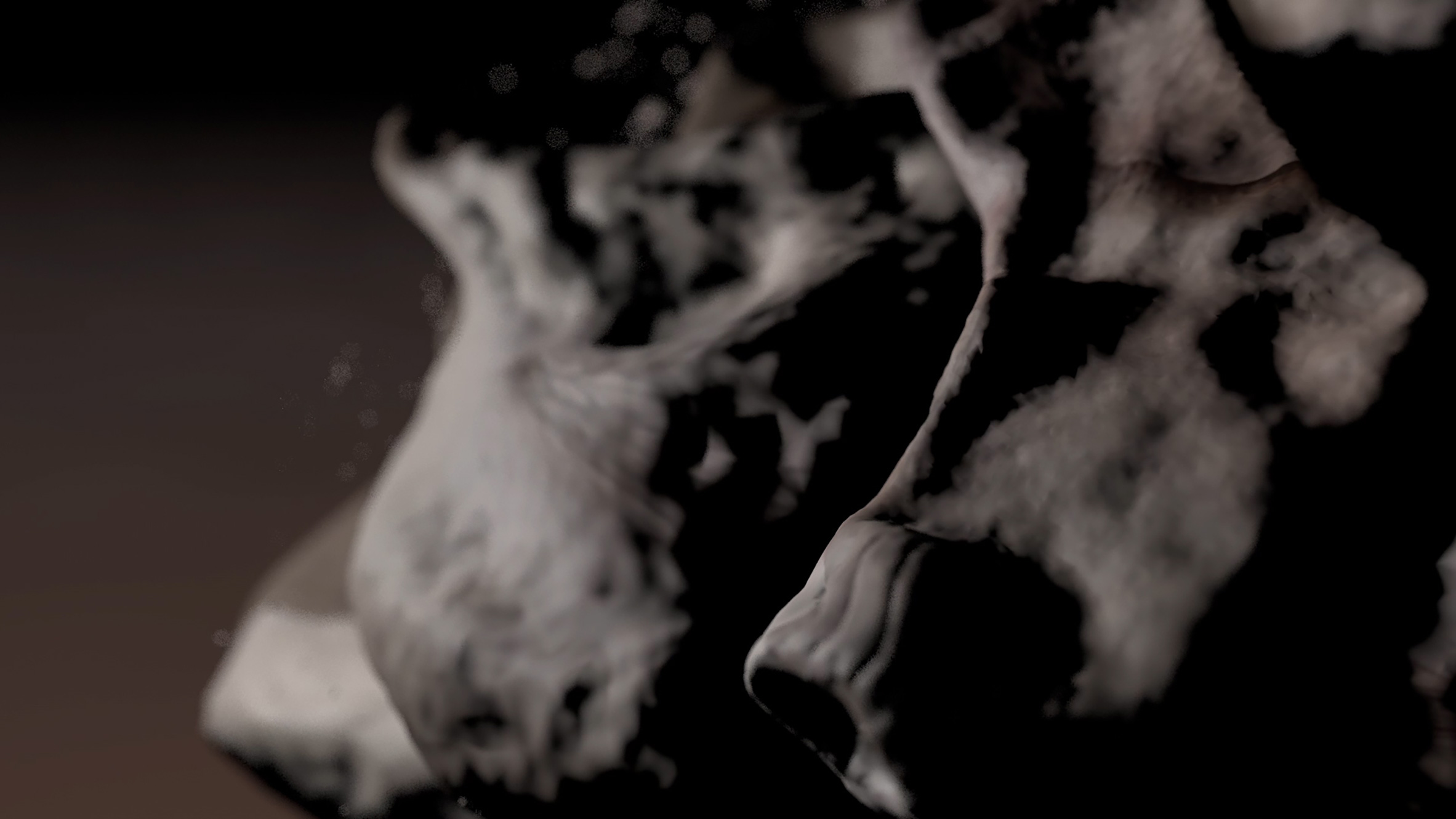 Kadry z realizacji wideo