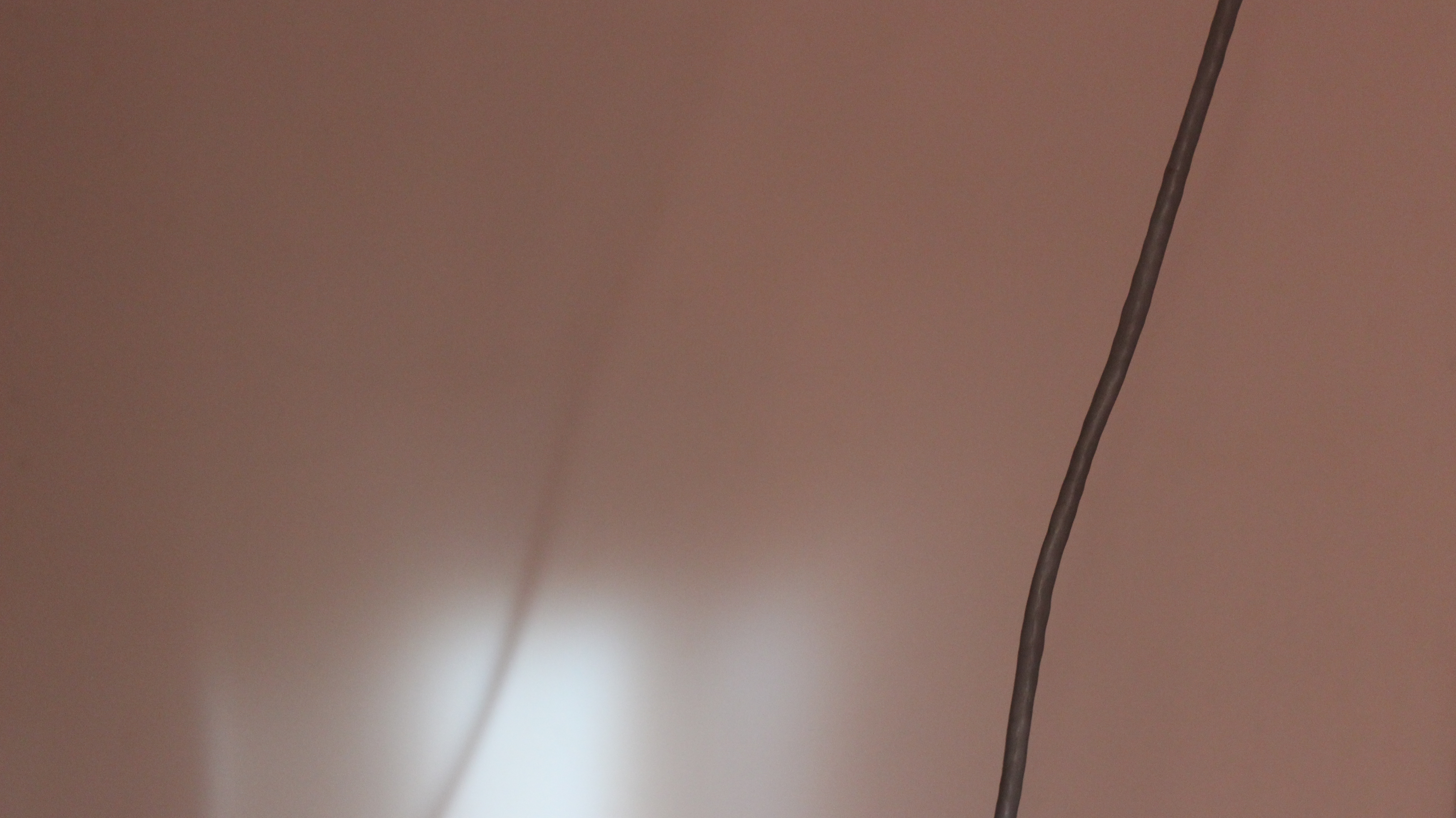 Michał Menkarski – TAL_01 (proces działania 6)