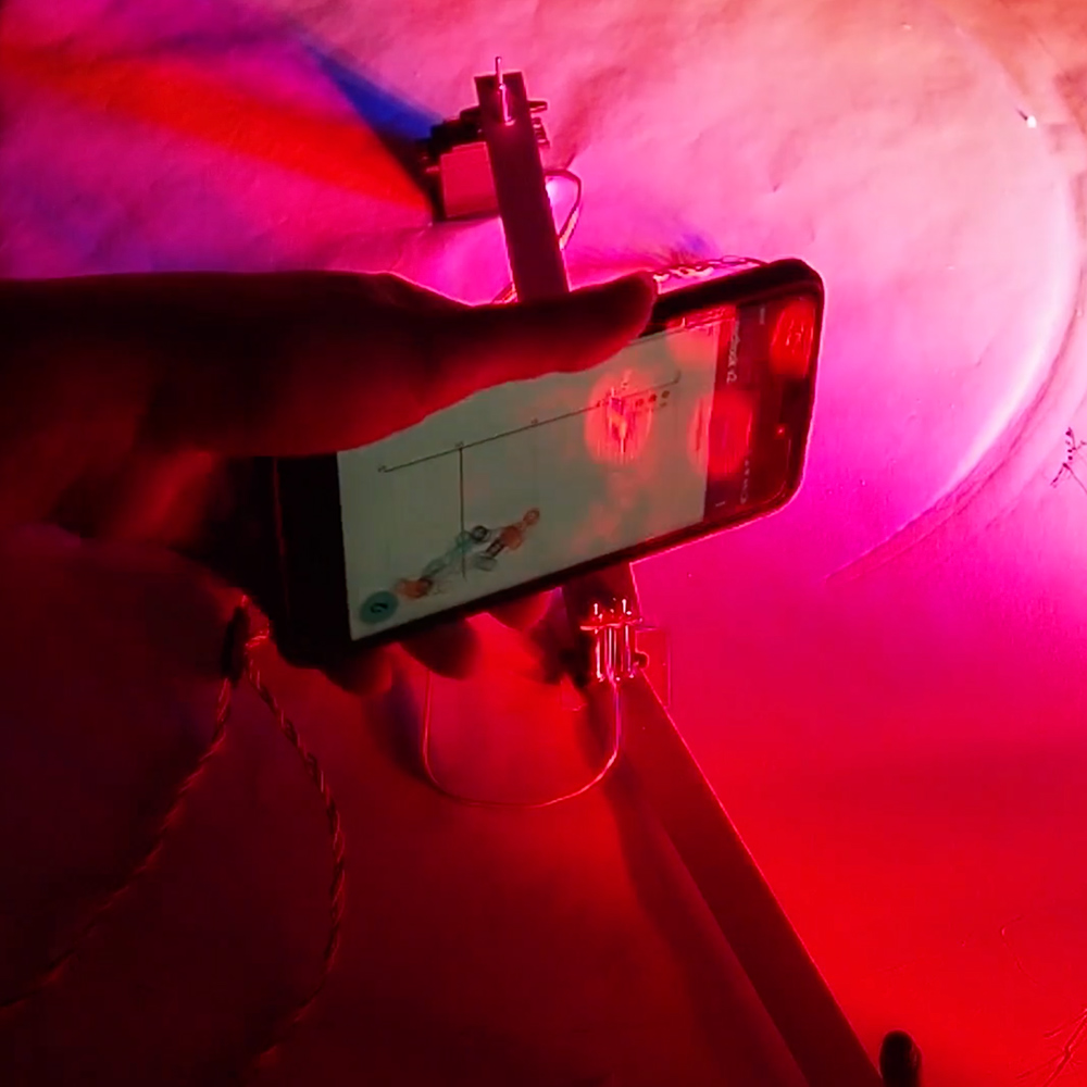 Ewa Kaleta, Magdalena Łakoma