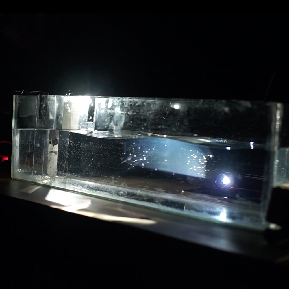 Wojciech Mlekodaj, Patryk Zdebik, „WAV”