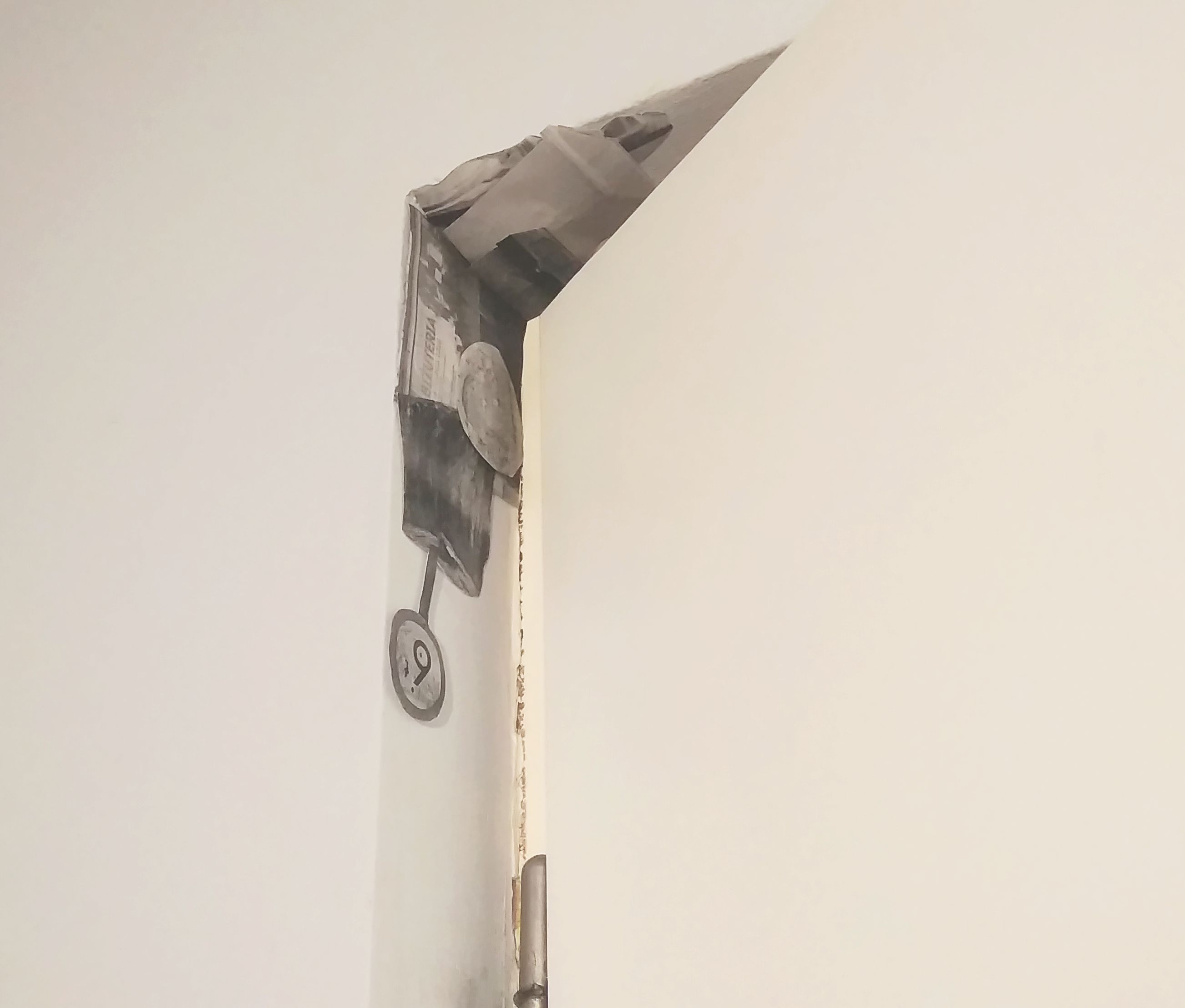 Ewa Kaleta – Opatrzone