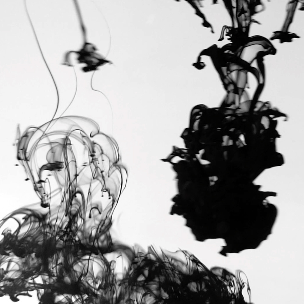 Piotr Olszanecki, Fluid