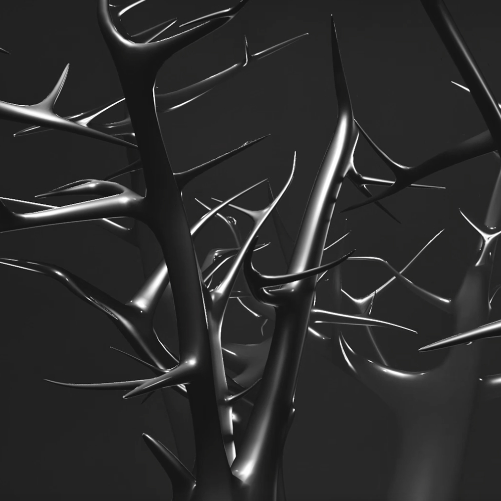 Aleksandra Uchacz, O drzewach