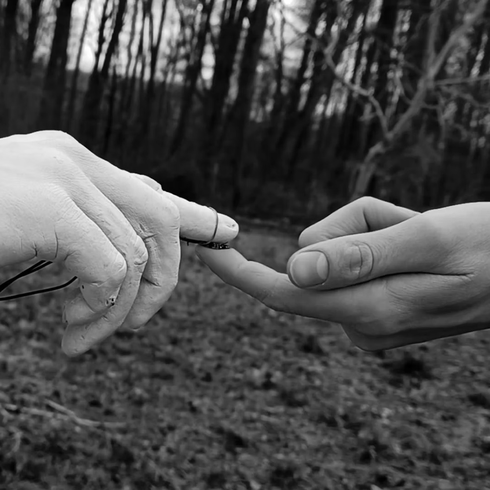 Paula Kozik, Animacja biologiczna