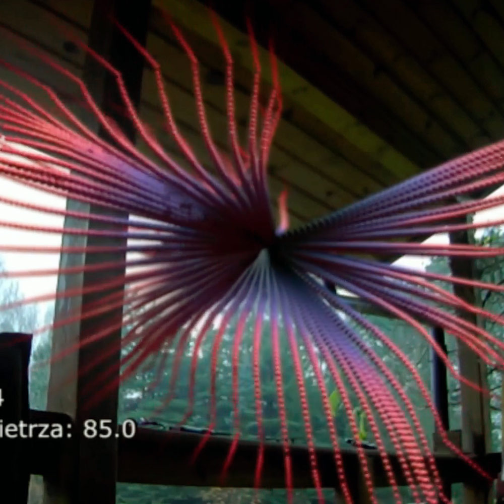 Paweł Okoński, Pnączak