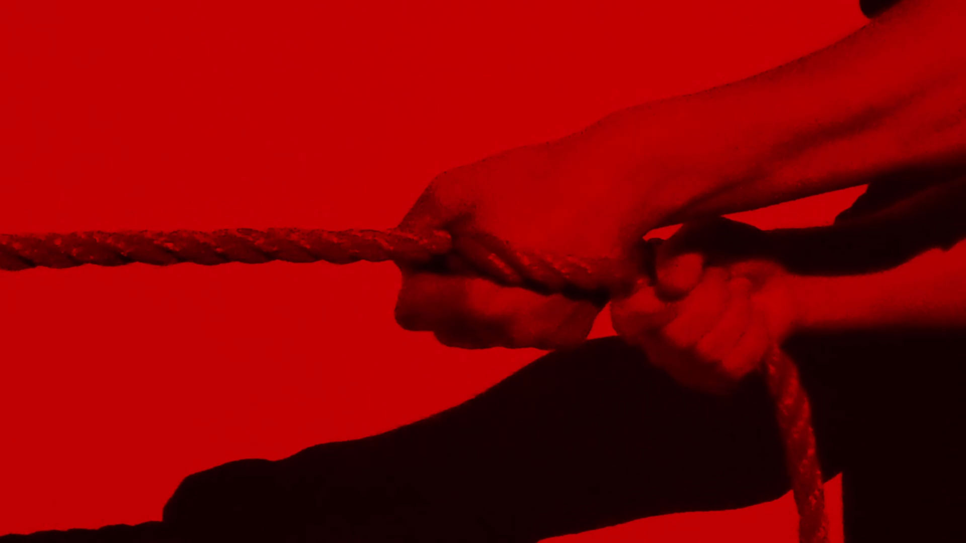 Aleksandra Ambroziak