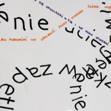 Patrycja Ciastko, Średnia prędkość bezruchu