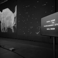 Dominik Setlak, Osobliwy stan zagrożenia