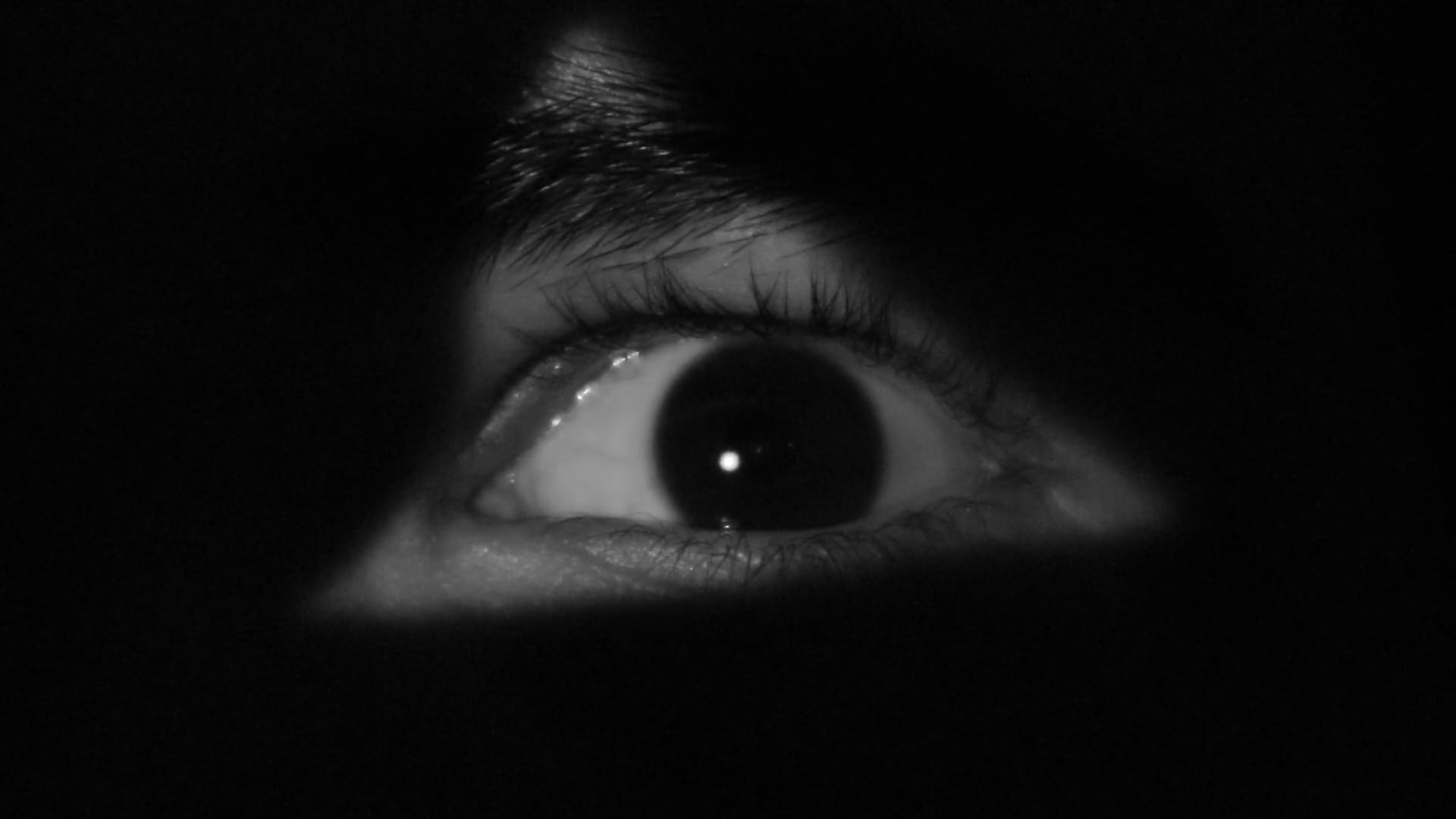 Katarzyna Czajkowska