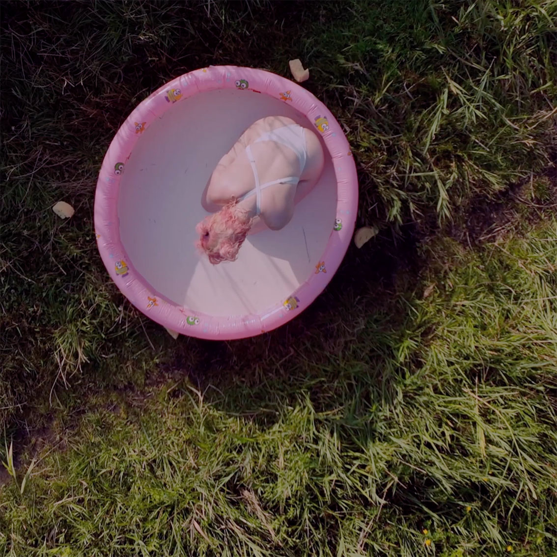 Alicja Sędzikowska, Wspólnota – od idei do opresji