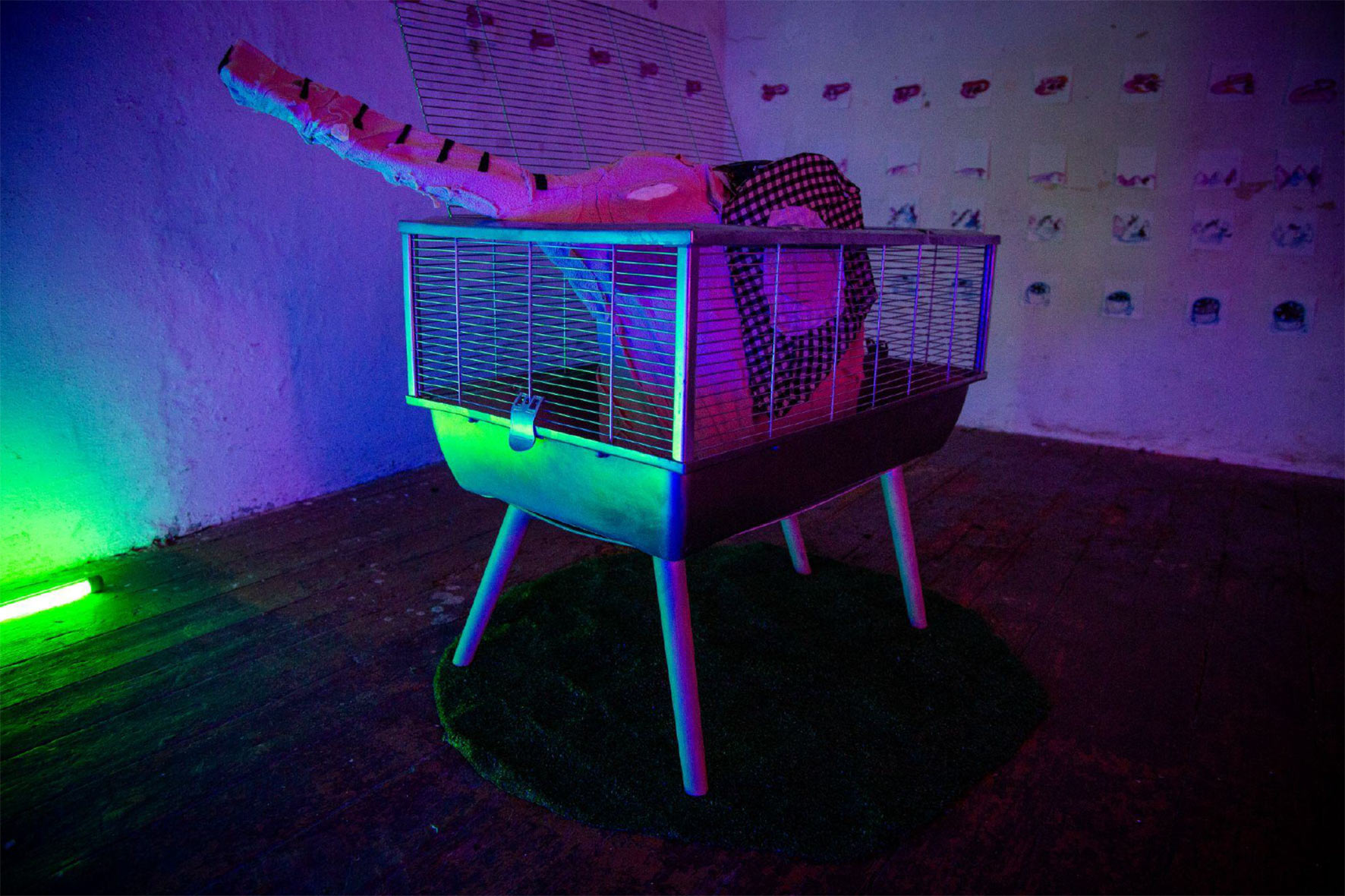 Julia_Wojtanowska_01