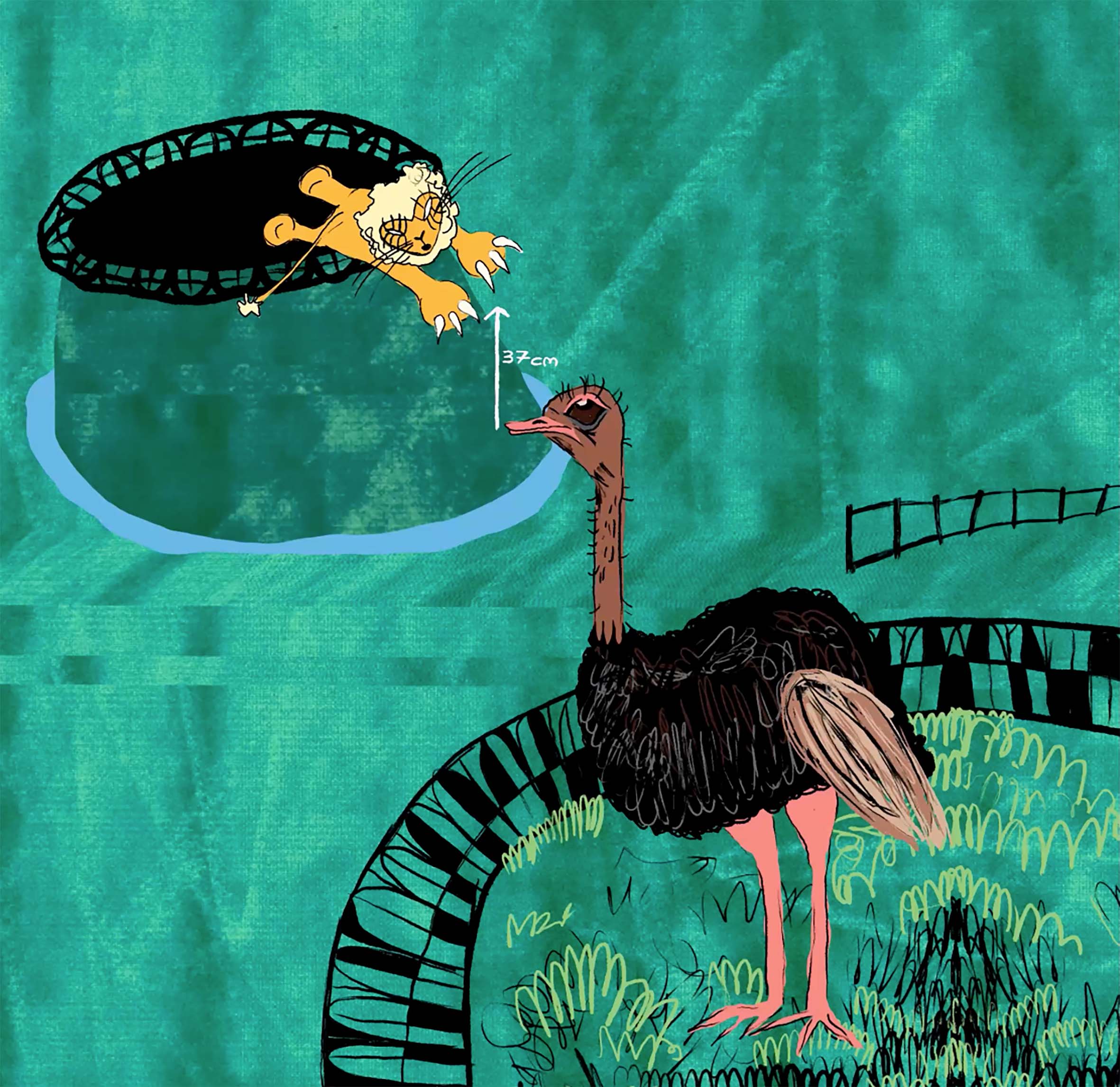 Julia_Wojtanowska_02