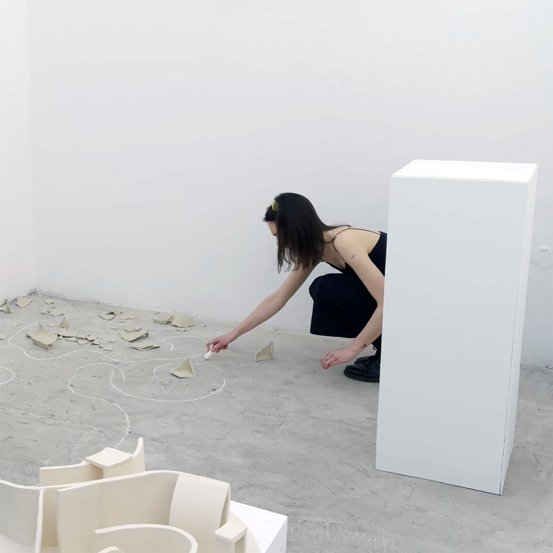 Karolina Szwak, Obszar poszukiwań