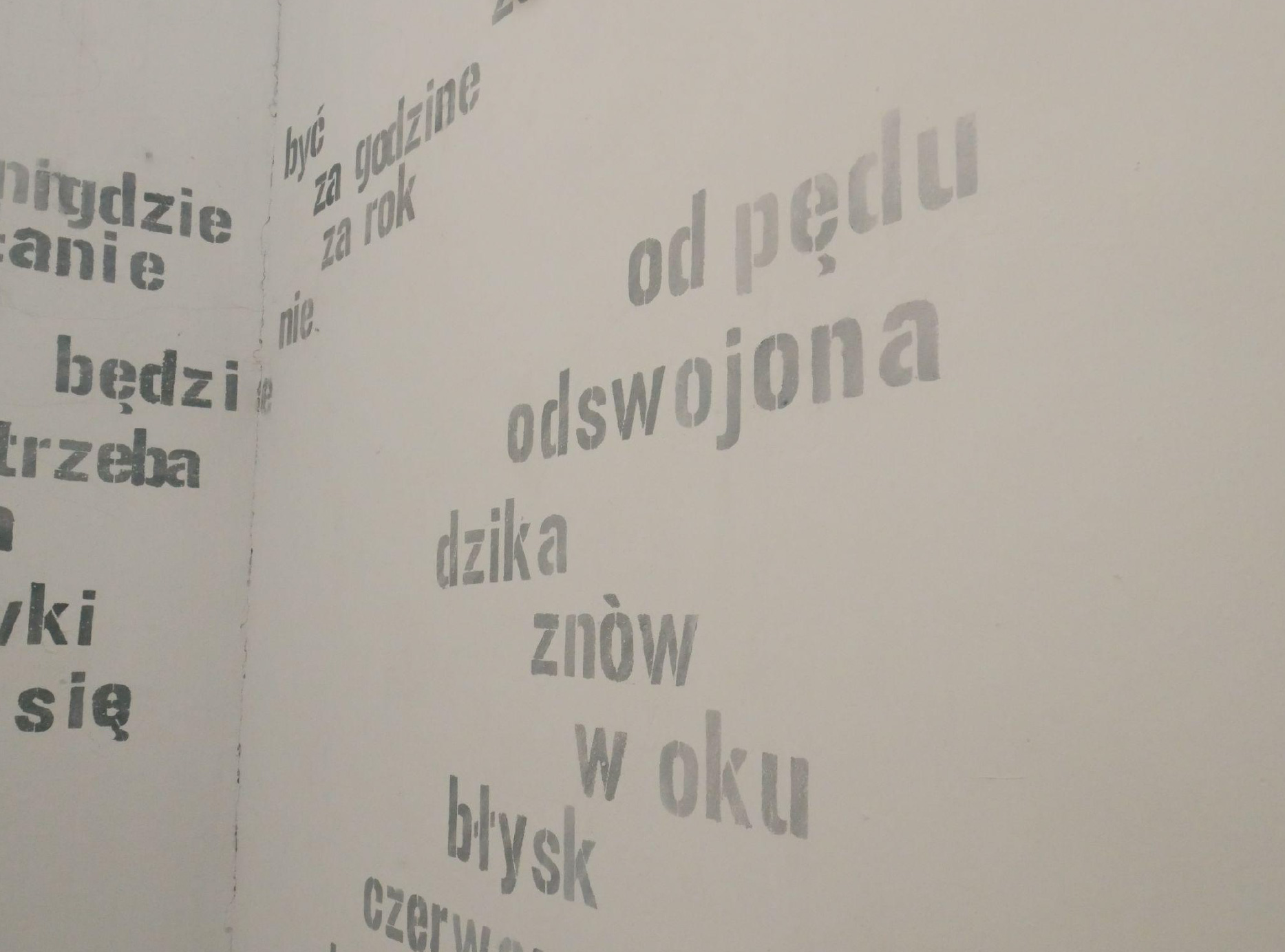 Monika_Niedzwiecka_01