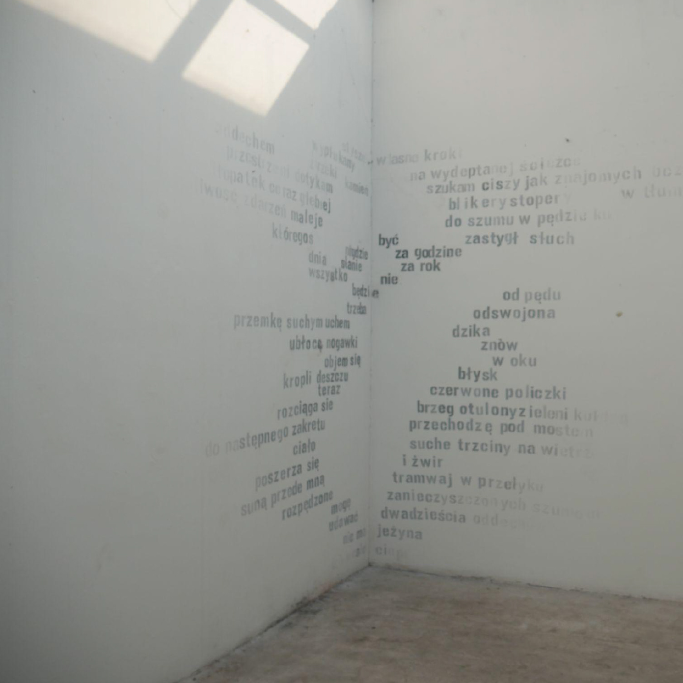 Monika Niedźwiecka, Szepcząc do ich krzyku