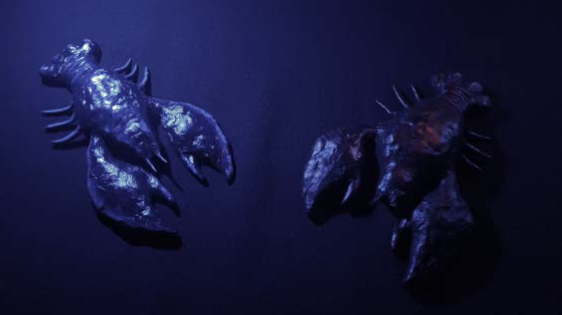 Pietka_Aleksandra_05