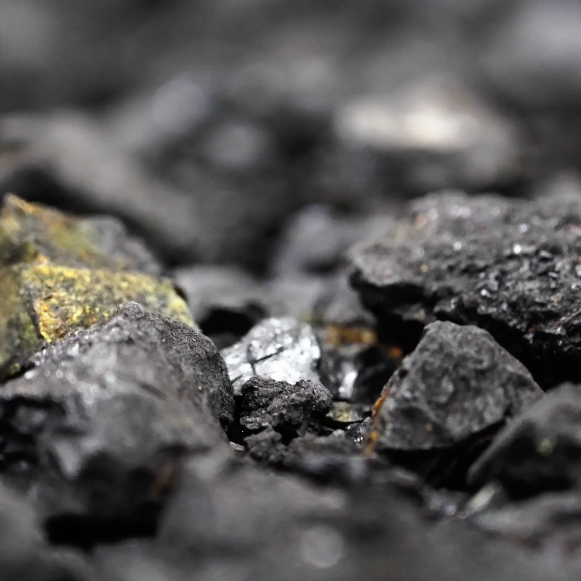 Sandra Bąk, Postęp jest utopią wcielaną w życie