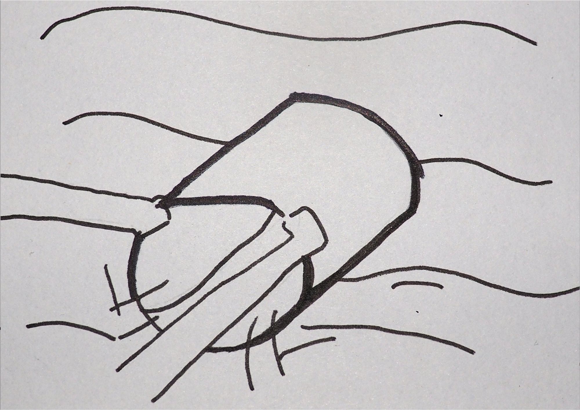 2_Borsuk_scenorys_linearny