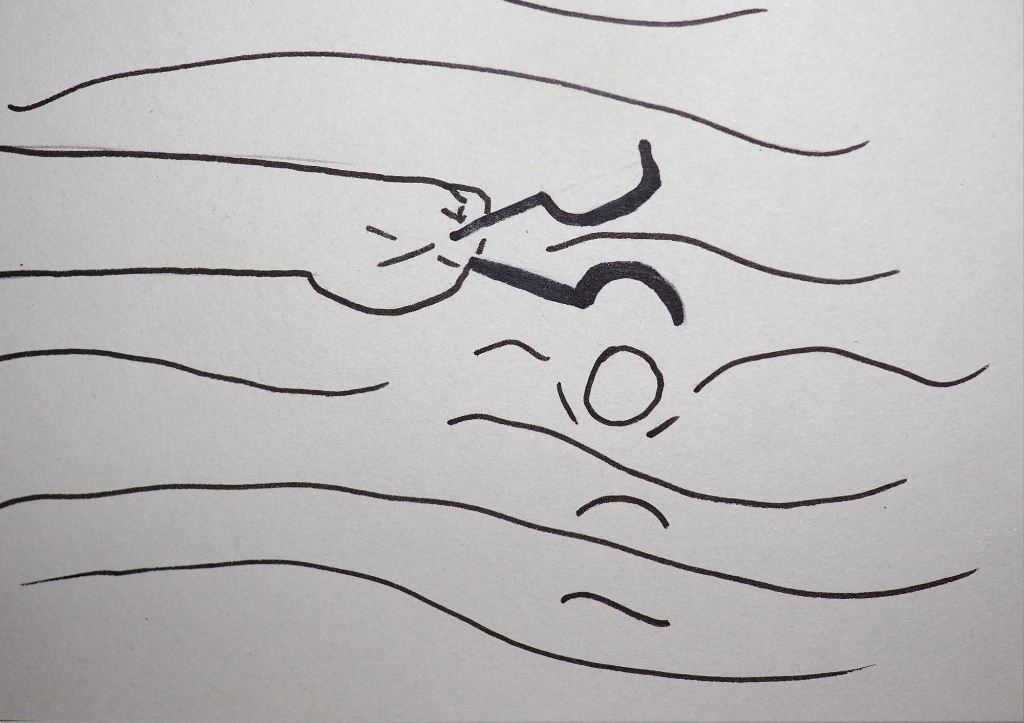 7_Borsuk_scenorys_linearny
