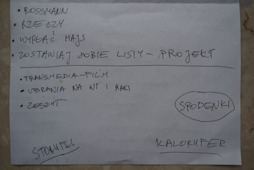 Kwiecinska_Roza_kolekcja_PIM_9