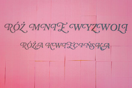 Roz Kwiecinska - Roz mnie wyzwoli (4)